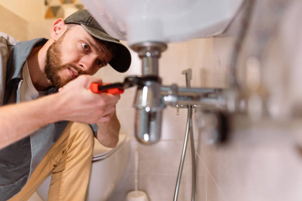 Best Local Plumber Services  in Cheboygan, MI
